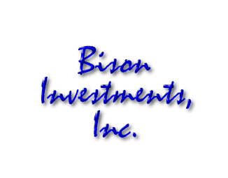 Birge Sigety – Bison Investments